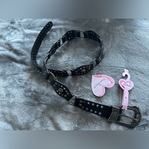 Black Belt with Gold Buckle